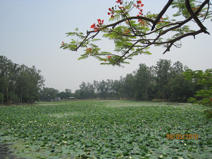 Bharat Kund,Nandigram