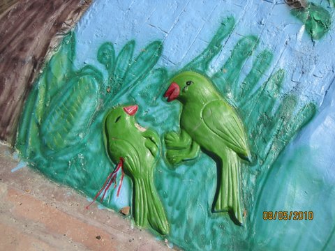 krounja birds on the banks of river tamasa