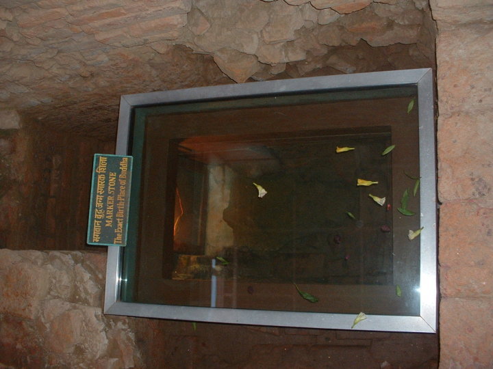 1915805_106654999365074_1783756_n