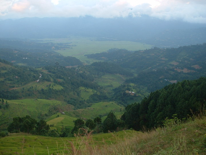 1915805_106655009365073_7624930_n