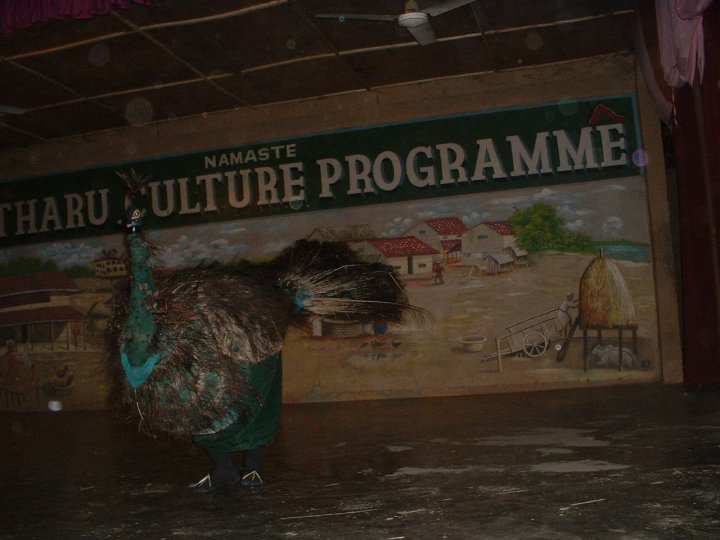 1915805_106655029365071_7227098_n