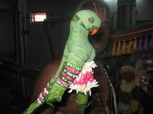 800px-Parrot,_Srivilliputtur