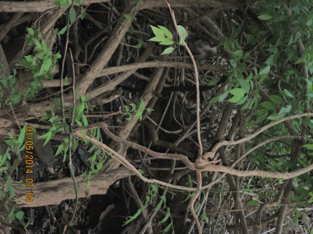 ???????????????????????????????