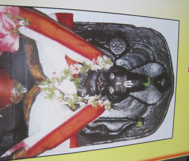 ???????????????????????????????