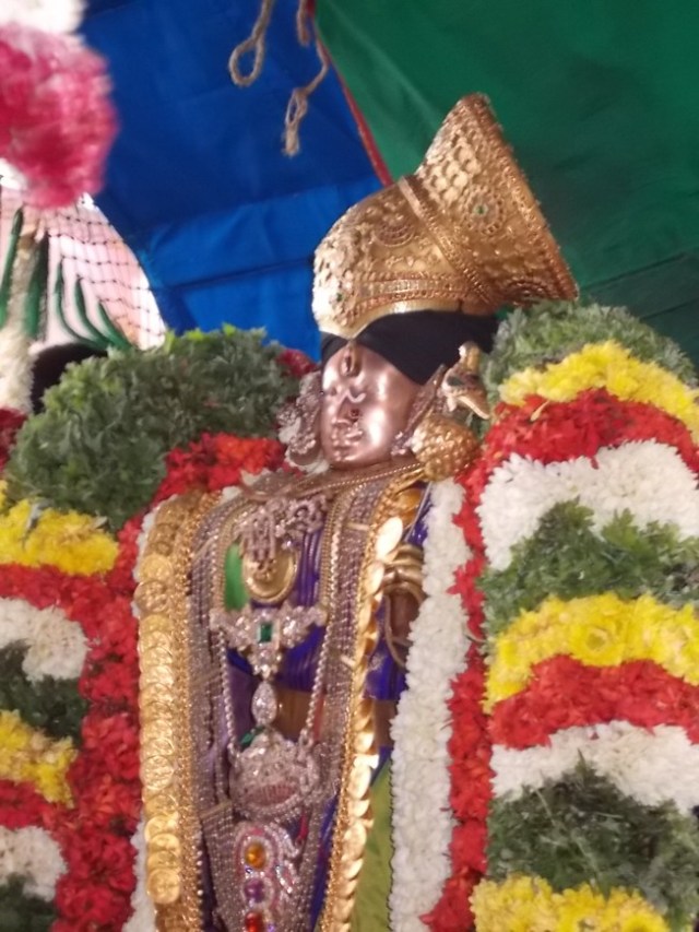 Srivilliputtur_Thiruvaadipooram_2013_29