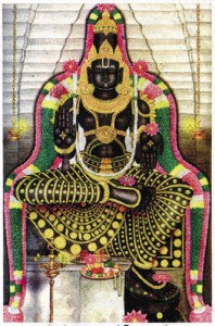 pandavadhootha-perumal