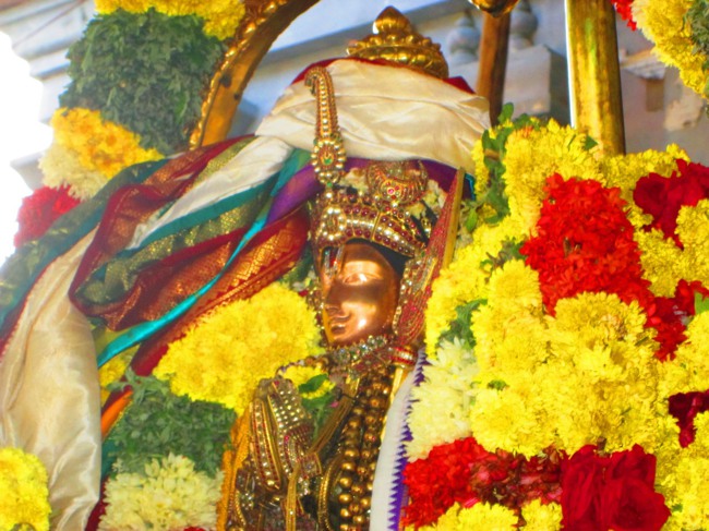 Thirunangur-Garuda-Sevai-Azhwar-mangalasasanam-at-Pandal-2014-0062