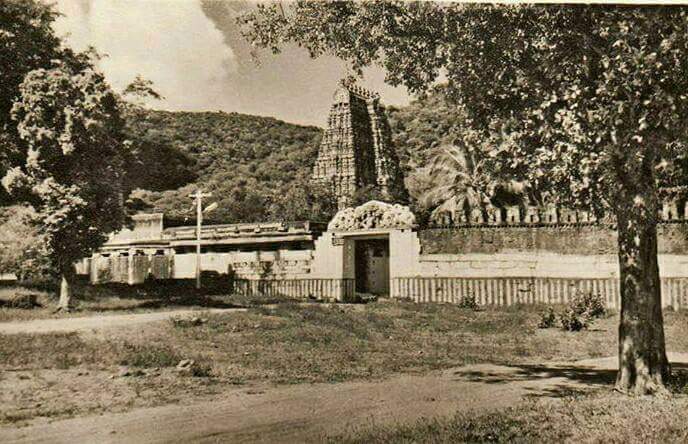 FB_IMG_1450705283908