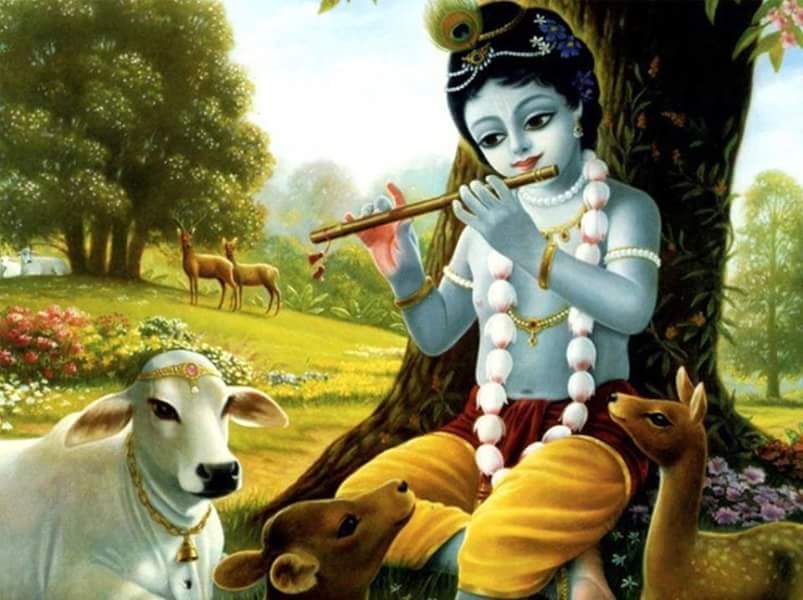 FB_IMG_1457228304546