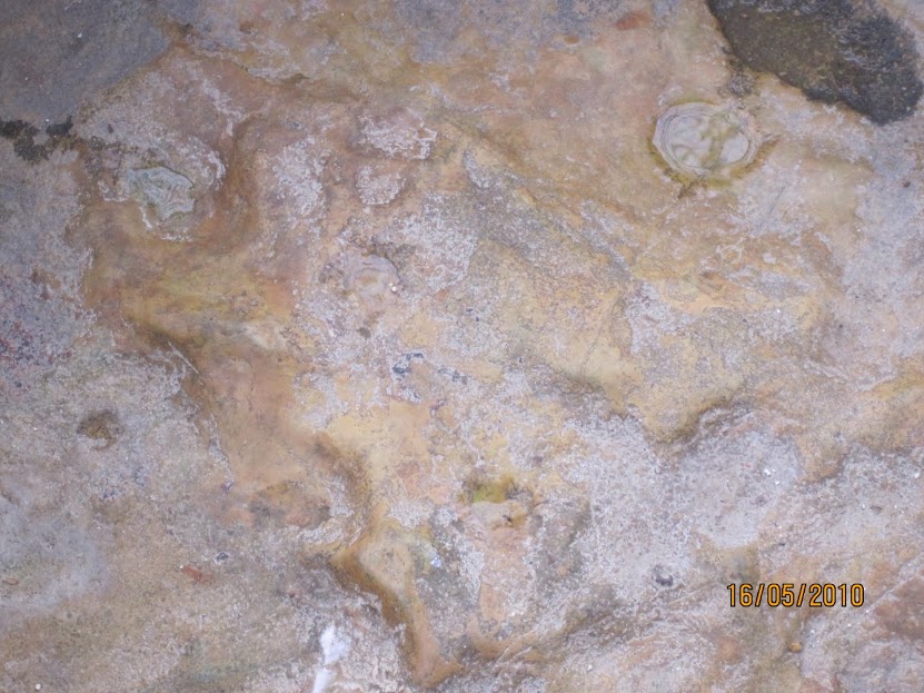 the rock melted on seeing ramas and bharata's affection,chitrakut.jpg