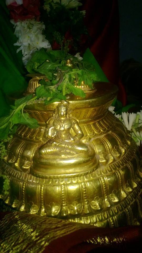 10378937_256405261223086_71685864508529441_n