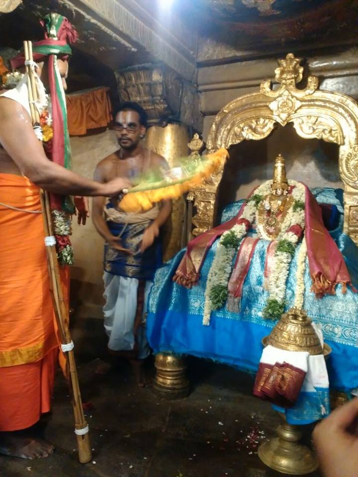 11119635_823093924434333_835726210456092740_n