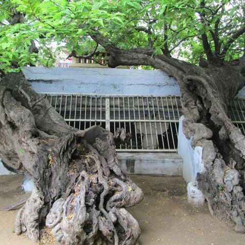 1525761_877788958919449_4145547755868345350_n