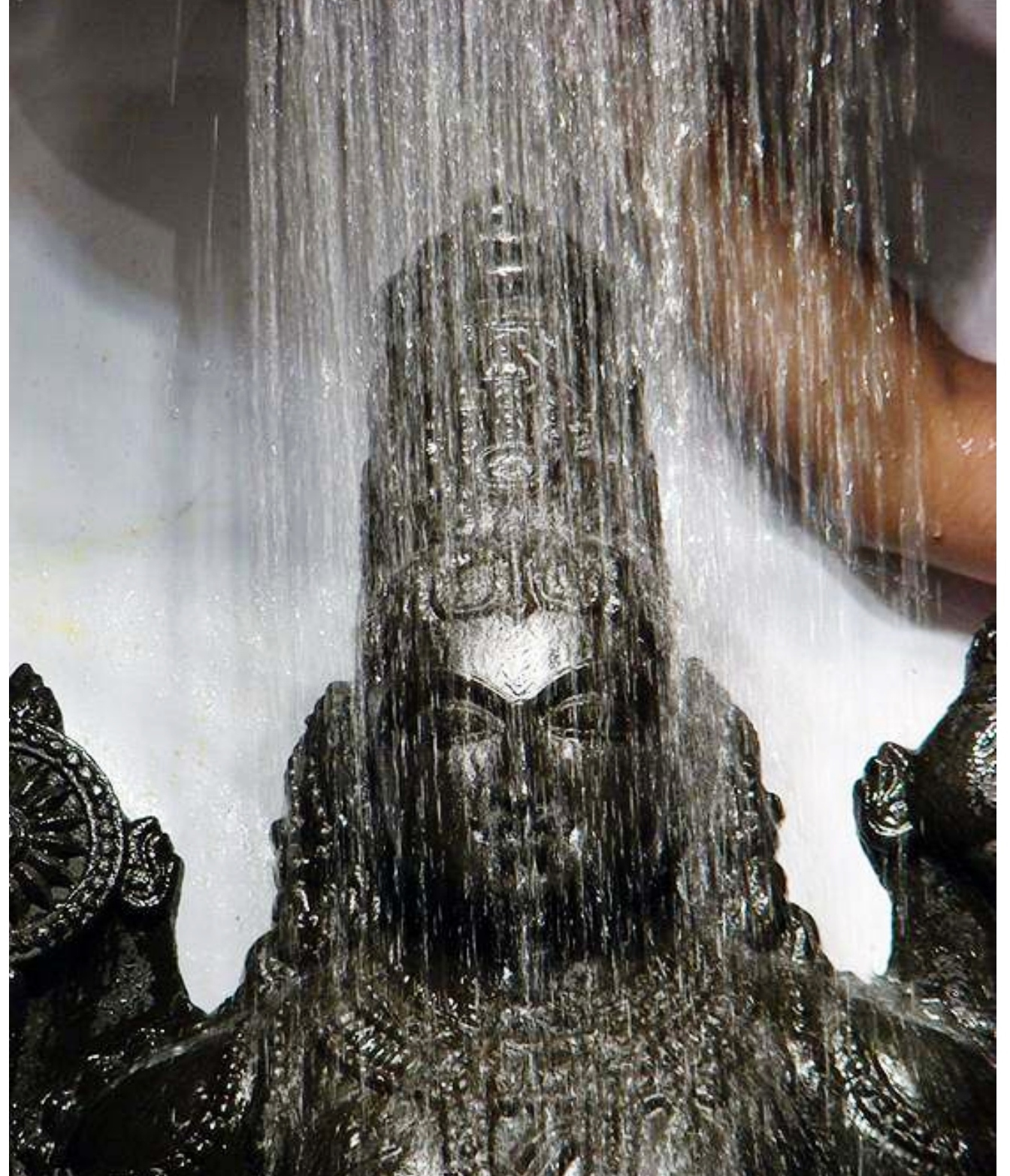 Featured Image -- 19856