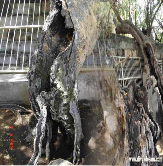 523590_402495403133968_133069990_n