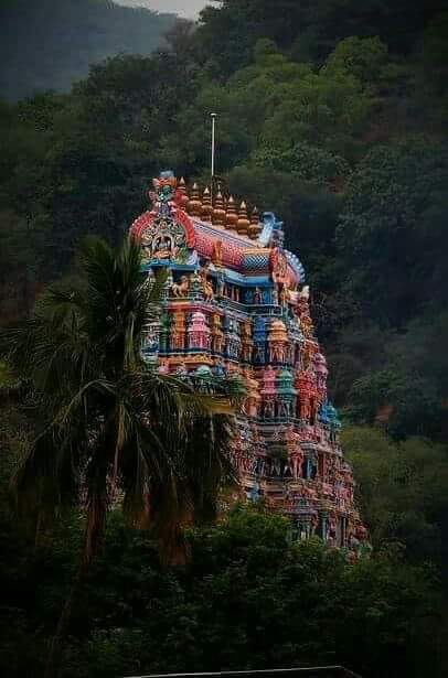 .facebook_1493044306287