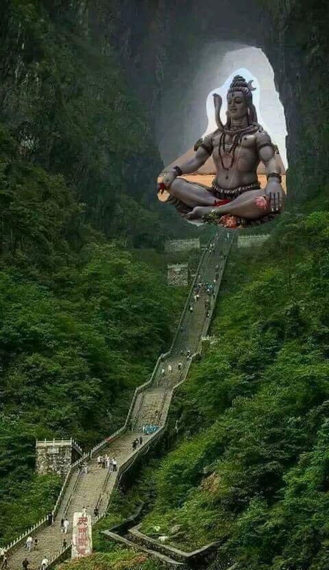 .facebook_1493044275935