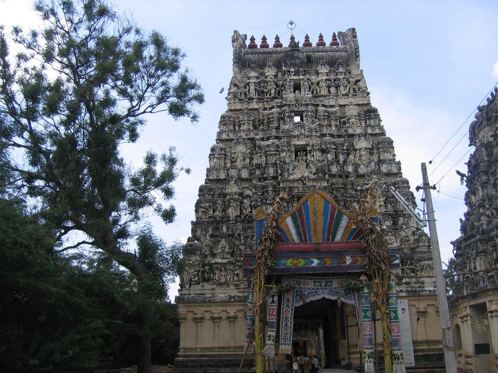 Featured Image -- 23298