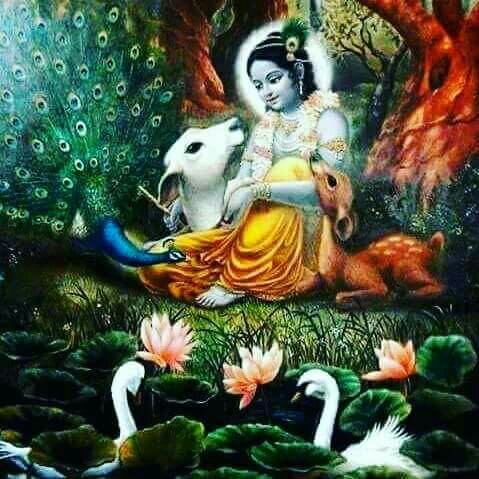 wp-image--1337077983