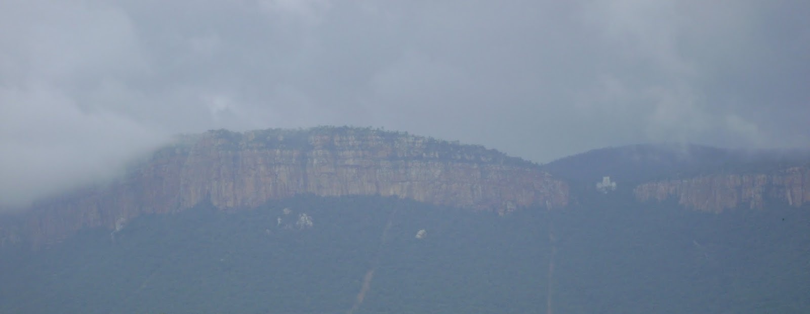 TIRUMALAA