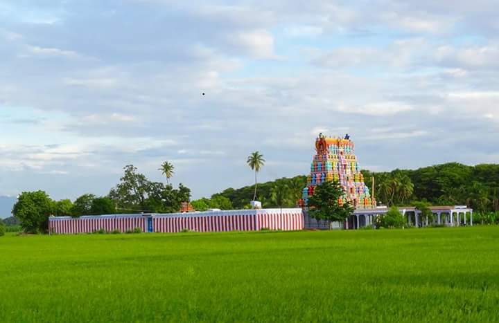 .facebook_1492694070942