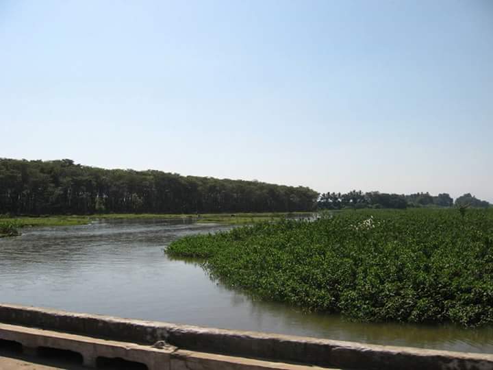 .facebook_1492694094238