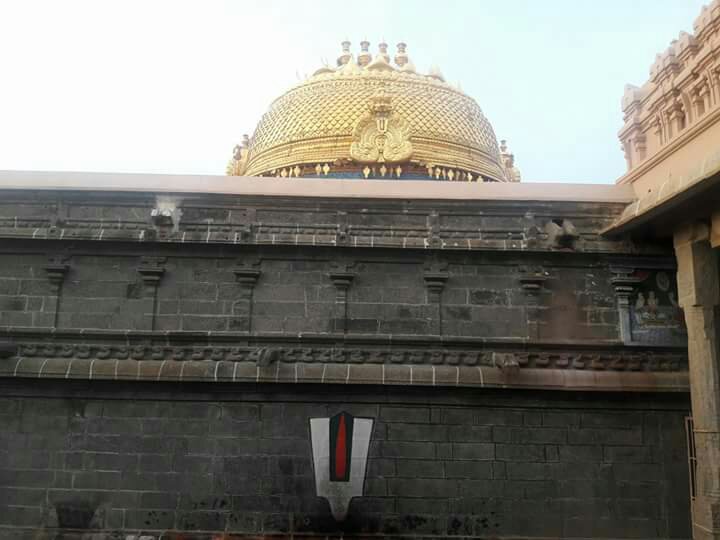 wp-image--2084153395